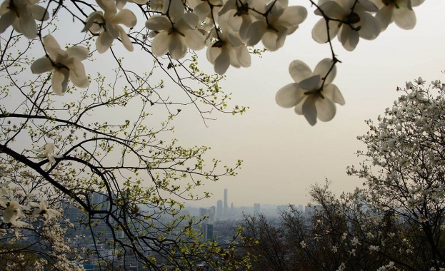 Рождениците днес