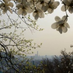 Рождениците днес