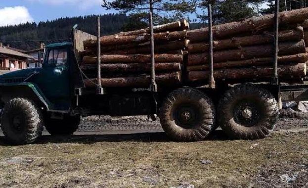 Задържаха два камиона с незаконно транспортирана дървесина