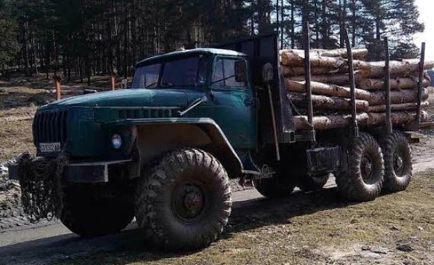 Почват масови проверки колко тежат камионите с дървесина