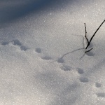 Предстоящи събития в страната на 29 ноември