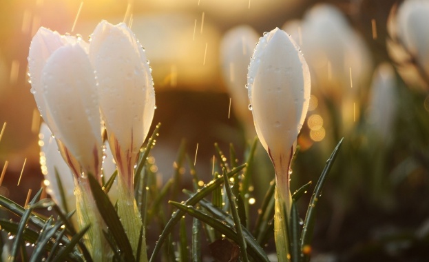 Предстоящи събития в страната 