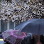 Предстоящи събития на 19 март 2018