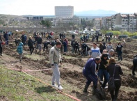 Общоградска залесителна кампания в Ямбол