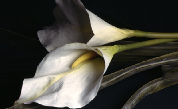 Днес да почерпят...