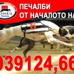 Победители в гонките донесоха победи за участниците  