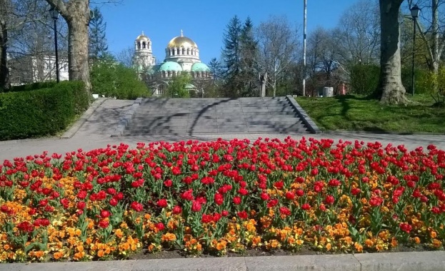 500 000 цветя красят София тази пролет 
