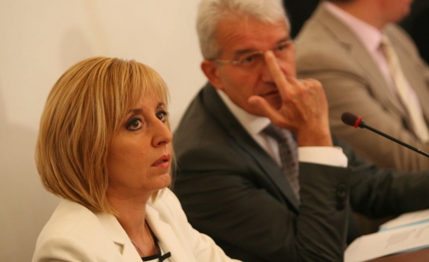 Манолова: Правосъден министър в позата на магнолия от двора в Банкя