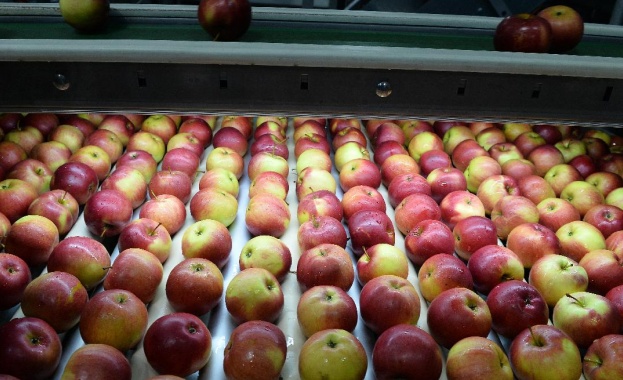 Русия забрани реекспорта на плодове от България