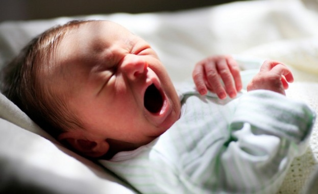 Невиждан от 30 години в САЩ спад на раждаемостта