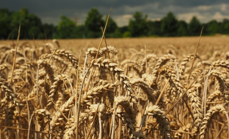 Измина поредна седмица на покачващи се цени в борсовата търговия със стоки в световен мащаб