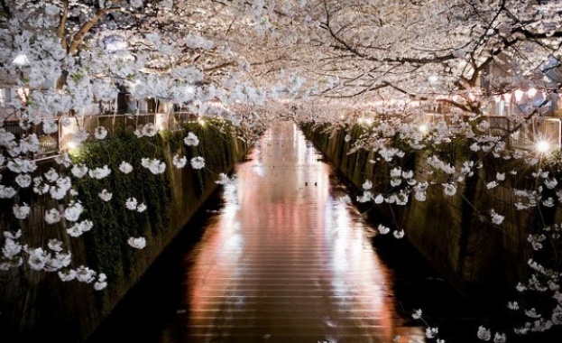 Половин час в пролетна вечер се равнява на хиляди жълтъци