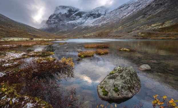 Учените се заемат с екологията на Колския полуостров
