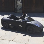 Канадски диджей подари на котката си Lamborghini