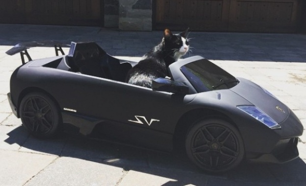 Канадски диджей подари на котката си Lamborghini