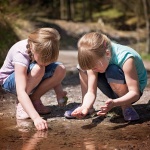 Предстоящи събития в страната