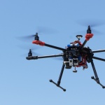 Видеокамери и дронове снимат нудистите на "Делфин"