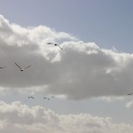 Предстоящи събития в страната 