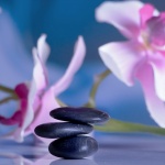 20 СПА центъра получиха лиценз