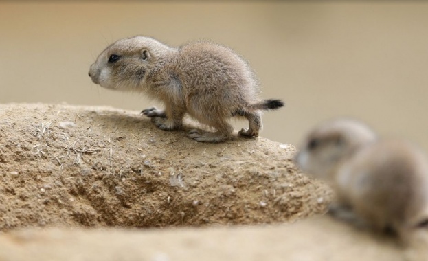 Предстоящи събития в страната за днес, 6 юни