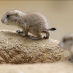 Предстоящи събития в страната за днес, 6 юни