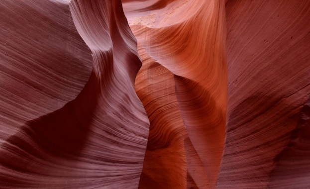 Предстоящи събития в страната за днес, 7 юни