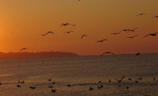 Предстоящи събития 