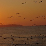 Предстоящи събития 