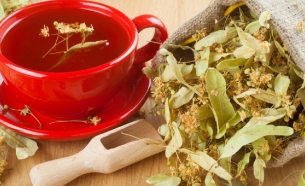 Липовият цвят ще бъде изкупуван на по-висока цена 