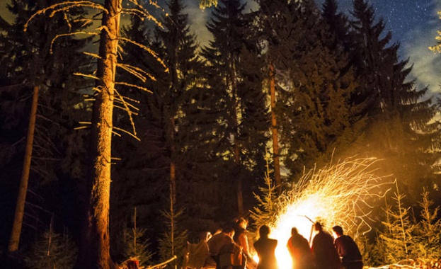 В САЩ организират летен лагер за любителите на марихуаната 