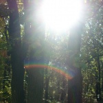 Предстоящи събития на 30 януари 2018