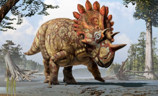 Нов рогат динозавър е открит - Regaliceratops peterhewsi
