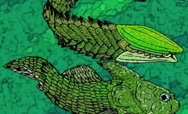 Първите живи организми със зъби са били рибите 