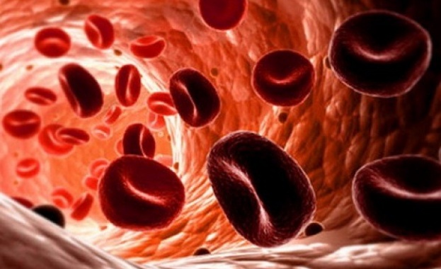 Създадоха изкуствени еритроцити