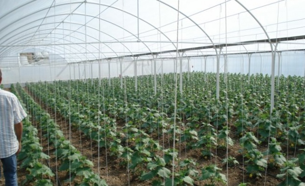 Земеделци искат облекчен режим за изграждане на оранжерии
