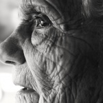 Пенсионните промени – реформа или недоносче?