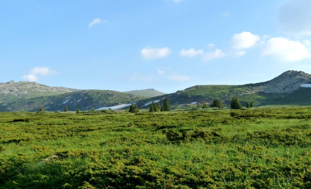 „Торфено бранище“ пази историята на растителността на Витоша