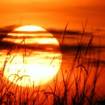 Предстоящи събития в страната за днес, 7 септември