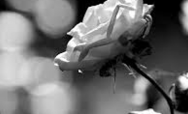 Рождениците днес 