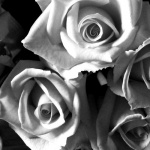 Рождениците днес 