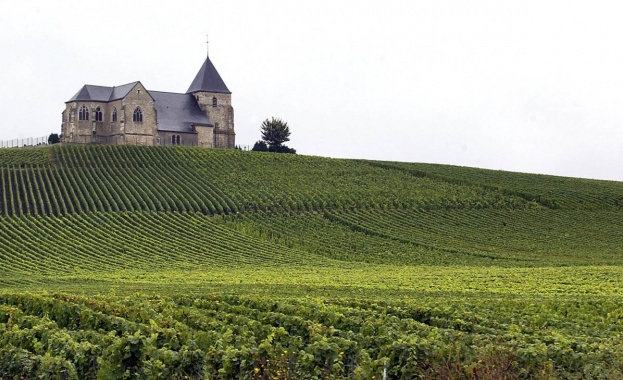 Шампан и Бургундия получиха статут на световно наследство на ЮНЕСКО