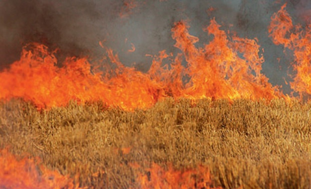 Пожари край Донецк унищожават реколтата в региона