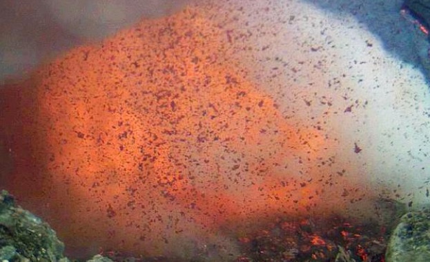 Изригна вулкан в Индонезия. Хиляди туристи и пътници бяха блокирани заради затвореното летище