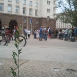 Сделки в Натура