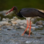 България и Турция усвояват 25 млн. евро за устойчив туризъм в пограничните райони