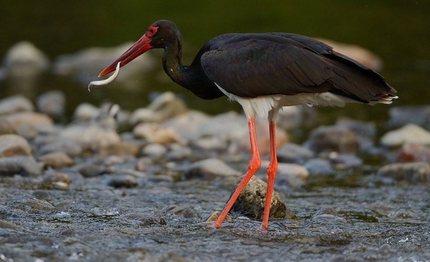 България и Турция усвояват 25 млн. евро за устойчив туризъм в пограничните райони