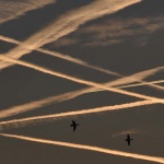 Предстоящи събития в страната за днес, 26 юли