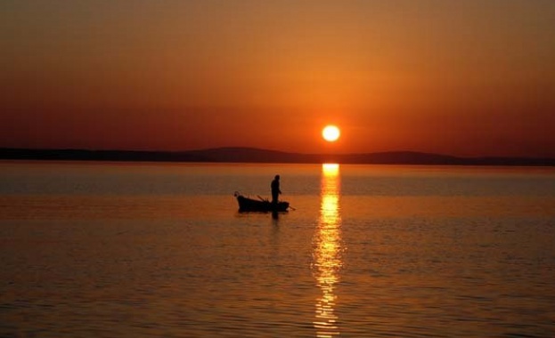 Рибата в Черно море изчезва