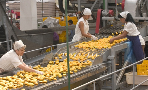 С увеличението на тока за бизнеса продуктите ще поскъпнат незначително – с 1-1,5%