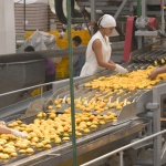 С увеличението на тока за бизнеса продуктите ще поскъпнат незначително – с 1-1,5%